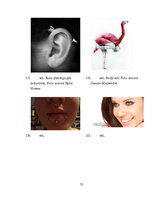 Referāts 'Ķermeņa māksla', 31.