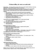 Konspekts 'Grāmatvedība', 1.