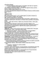 Konspekts 'Centrālā nervu sistēma', 1.