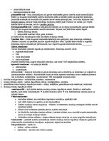 Konspekts 'Centrālā nervu sistēma', 2.