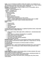 Konspekts 'Centrālā nervu sistēma', 3.