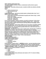 Konspekts 'Centrālā nervu sistēma', 4.