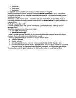 Konspekts 'Centrālā nervu sistēma', 5.