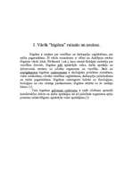 Referāts 'Cilvēks un higiēna', 5.