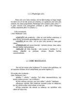 Referāts 'Cilvēks un higiēna', 7.