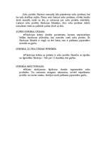 Referāts 'Cilvēks un higiēna', 34.