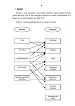 Diplomdarbs 'Vērtspapīru tirgus un tā attīstības tendences Latvijā', 26.