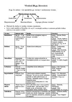 Konspekts 'Virzieni 20.gadsimta literatūrā', 1.