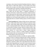 Eseja 'Vadītāja loma', 2.