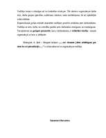 Eseja 'Vadītāja loma', 8.