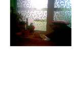 Eseja 'Pārdomas', 2.