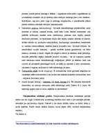 Konspekts 'Starptautiskā mārketinga komunikācija. Preču noieta veicināšana', 5.