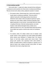 Referāts 'Norēķinu karšu loma internetā', 11.