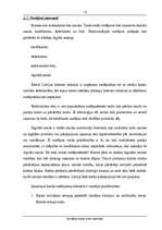 Referāts 'Norēķinu karšu loma internetā', 14.