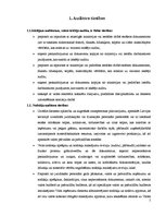 Referāts 'Audits', 4.