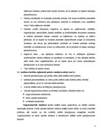 Referāts 'Audits', 5.