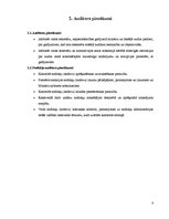 Referāts 'Audits', 7.