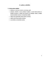 Referāts 'Audits', 8.