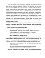 Referāts 'Audits', 10.