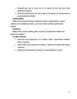 Referāts 'Audits', 14.