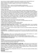 Konspekts 'Kriminālprocess', 29.