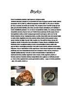 Referāts 'Kalcijs, titāns, dzelzs', 4.