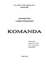 Referāts 'Komanda', 1.
