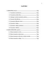 Referāts 'Komanda', 2.