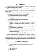 Referāts 'Komanda', 3.