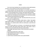 Referāts 'Feminisms', 3.