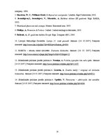 Referāts 'Feminisms', 14.