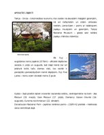 Referāts 'Japāna', 4.