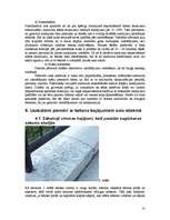 Referāts 'Betons un tā izstrādājumi sala ietekmē', 10.