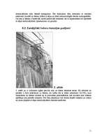 Referāts 'Betons un tā izstrādājumi sala ietekmē', 11.