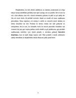 Eseja 'Ilgtspējīga attīstība un inovācijas', 4.