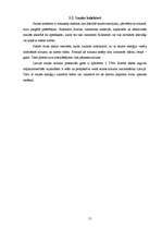 Referāts 'Alternatīvā enerģija', 15.