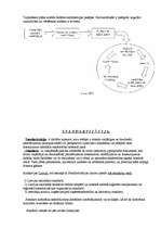 Referāts 'Kvalitāte, sertifikācija, standartizācija, zīmols', 5.