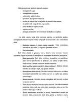 Referāts 'Ekotūrisms', 8.