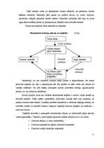 Referāts 'Ekotūrisms', 11.