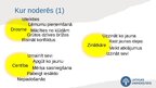Prezentācija 'Astra Marija Reine «Līgo nakts Sise»', 5.