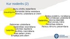 Prezentācija 'Astra Marija Reine «Līgo nakts Sise»', 6.