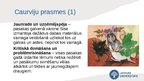 Prezentācija 'Astra Marija Reine «Līgo nakts Sise»', 12.