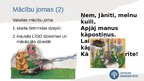 Prezentācija 'Astra Marija Reine «Līgo nakts Sise»', 16.