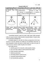 Diplomdarbs 'Starpprofesionāļu komanda sociālajā darbā ar ģimeni ar bērniem x pagastā', 35.