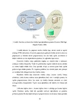 Referāts 'Tīmekļa vietnes izstrāde', 10.