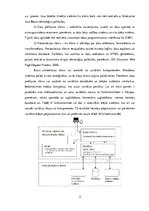 Referāts 'Tīmekļa vietnes izstrāde', 11.