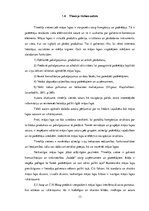 Referāts 'Tīmekļa vietnes izstrāde', 13.