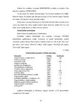 Referāts 'Tīmekļa vietnes izstrāde', 29.