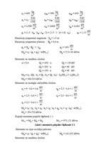 Paraugs 'Koka tilts', 9.