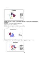 Biznesa plāns 'Biznesa plāns aromterapijas salonam', 8.